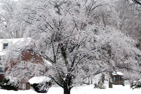 Weather Alert: Ice Storm Predicted Sunday | Lisle, IL Patch