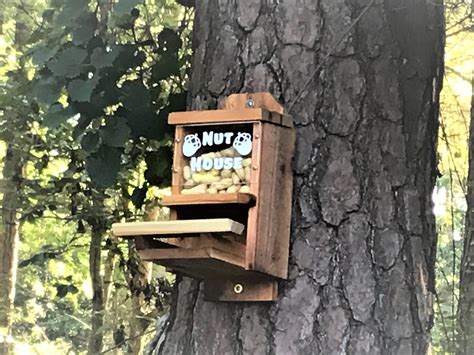 Peanut Cedar Squirrel Feeder with optional corn holder