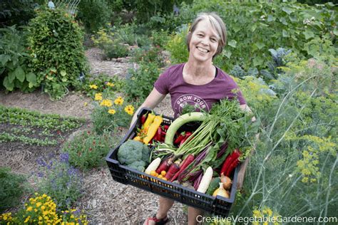 Creative Vegetable Gardener:How to use organic garden fertilizer for better plants - Creative ...