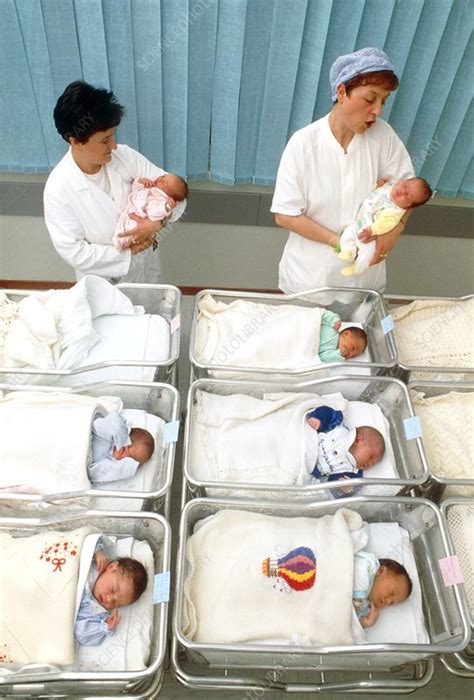 Nurses with newborn babies in a hospital nursery - Stock Image - M815/0255 - Science Photo Library