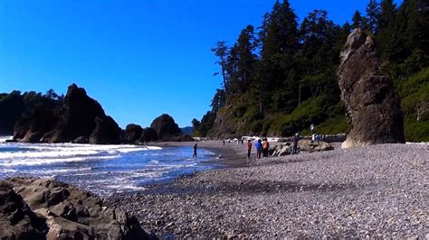 Northern Beaches - Visit Grays Harbor - Regions - Washington Coast