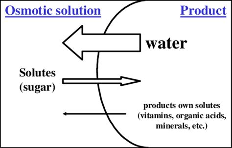 التجفيف التنافذي Osmotic Dehydration