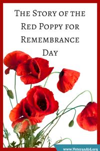 The Story of the Red Poppies for Veterans Day - VeteranAid