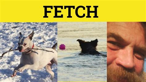 🔵 Fetch - Fetch Meaning - Fetch Examples - Fetch in a Sentence - YouTube