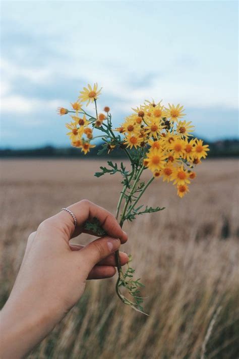 Баба Ди Бабудай on Twitter | Flowers photography, Hands holding flowers, Nature photography