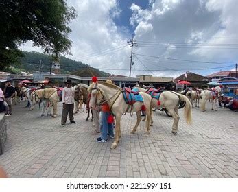 Sarangan Indonesia October 9 2022 White Stock Photo 2211994151 | Shutterstock