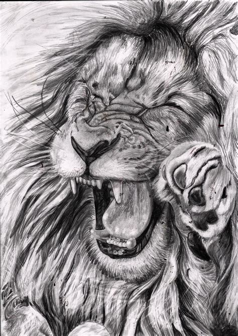 Lion Drawing by shadathchy on DeviantArt