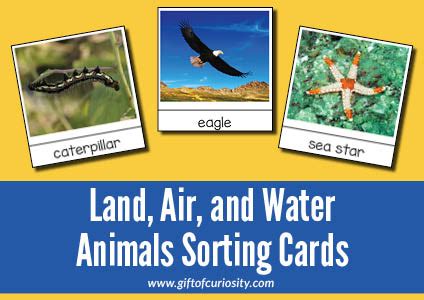 Sorting animals that live on land, air, and water {Montessori printable} - Gift of Curiosity