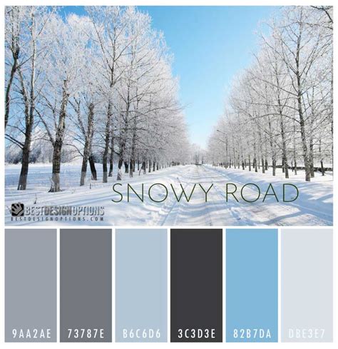 Winter Color Palettes for Design Inspiration | Best Design Options | Palette couleur, Palette de ...