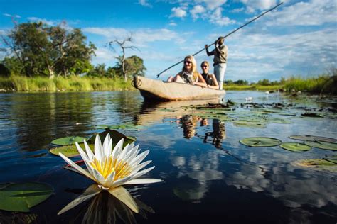 Botswana-Okavango-Delta-Mokoro-Safari-Guide-Water-Lily-Timbuktu-Travel ...