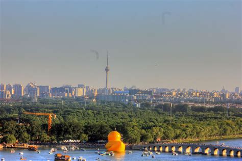 Giant duck and Beijing Skyline in Beijing, China image - Free stock photo - Public Domain photo ...