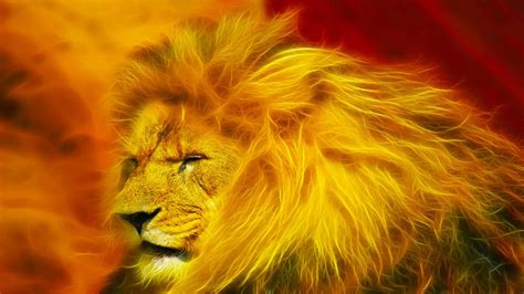 Abstract Lion Wallpapers - HD Images New | Colorful lion, Abstract lion ...