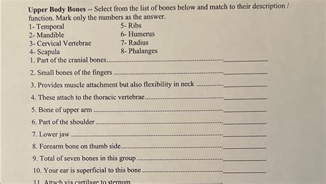 Solved Upper Body Bones -- ﻿Select from the list of bones | Chegg.com