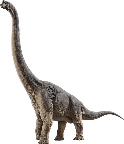 Brachiosaurus | Jurassic Park wiki | Fandom