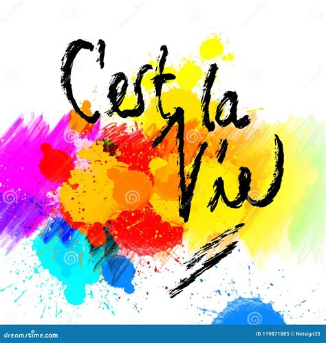 C`est La Vie. Lettering on Colorful Backgound Stock Vector - Illustration of colorful, greeting ...