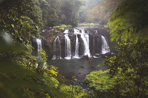 33 Incredible Waterfalls In Cairns to Visit in 2023 – We Seek Travel