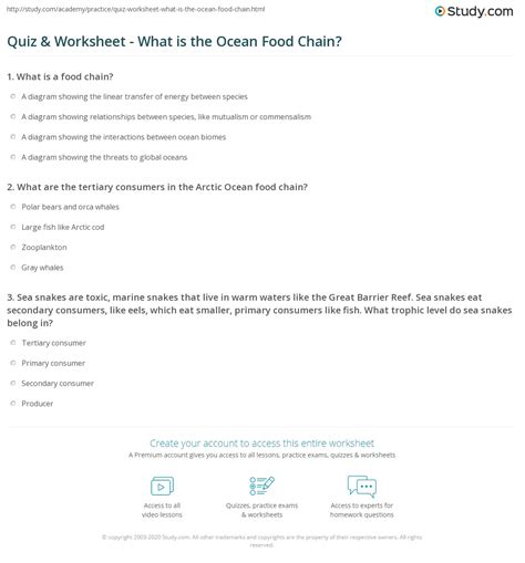 Quiz & Worksheet - What is the Ocean Food Chain? | Study.com