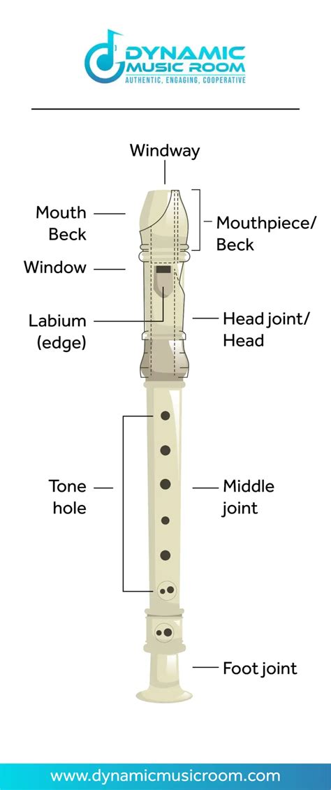 Parts Of A Recorder Explained – Dynamic Music Room