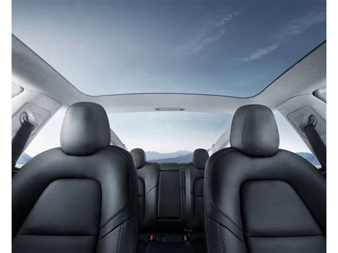 2025 Tesla Model 3: 79 Interior Photos | U.S. News