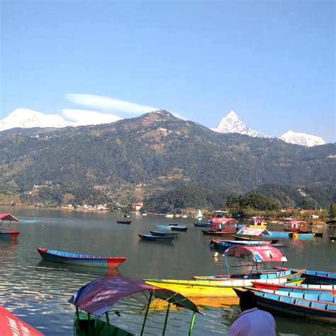 Kathmandu Pokhara Chitwan Tour - 8 days - Travel