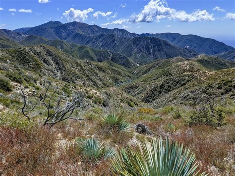 Los Angeles County Mountains