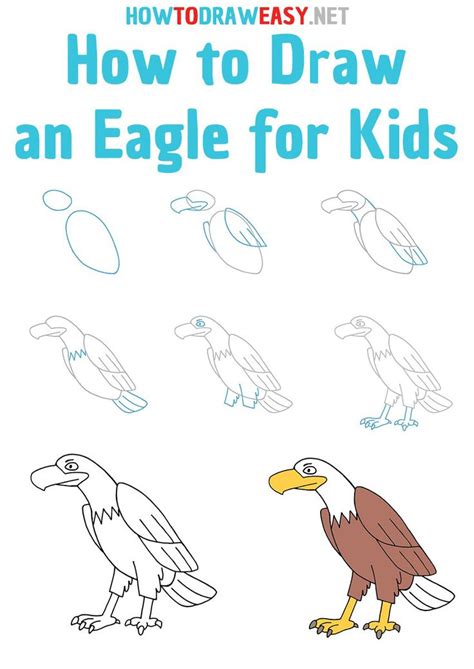 How to Draw an eagle step by step | Eagle drawing, Eagle drawing easy, Art drawings for kids