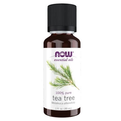 NOW® Essential Oils Tea Tree, 1 fl oz - Ralphs