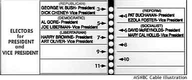 Voting for Usability: Background on the Issues - Whitney Interactive Design