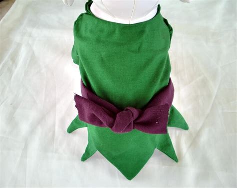 Dogs, Cats, Pets PETER PAN Costume - Etsy