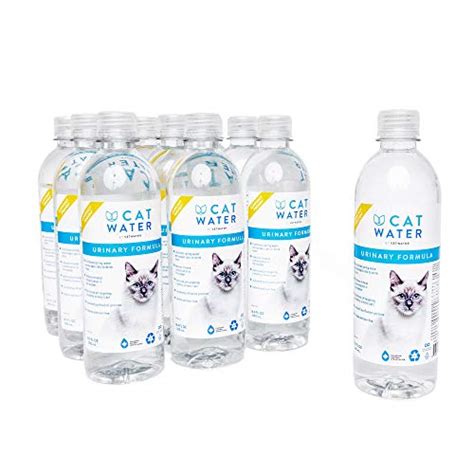 What Should Cats Drink: The Best Bottled Water for Cats - Meows the Word