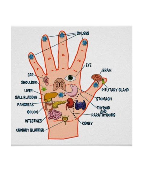 HAND REFLEXOLOGY CHART - Etsy