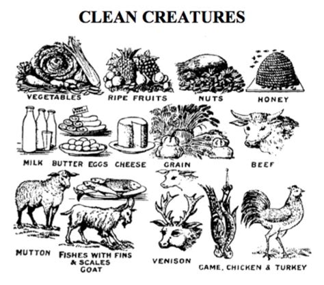 THE LAW OF CLEAN AND UNCLEAN CREATURES | Animals in the bible, Blacks in the bible, Bible food