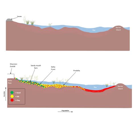 Anatomy of a Delta: The Foundation of New Land - Restore the ...