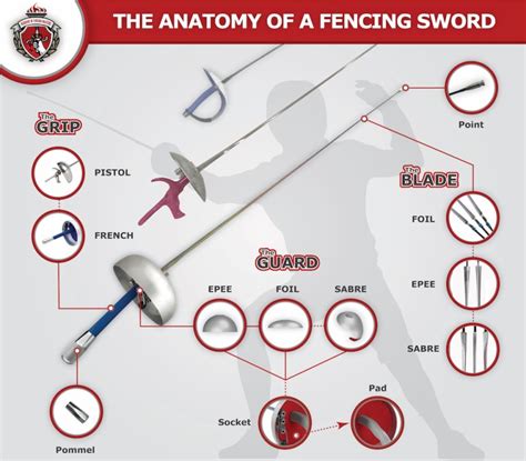 The anatomy of a fencing sword - Academy of Fencing Masters Blog