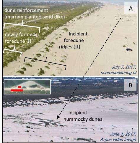 -Example of types of dune formation observed at the Sandmotor (southern ...