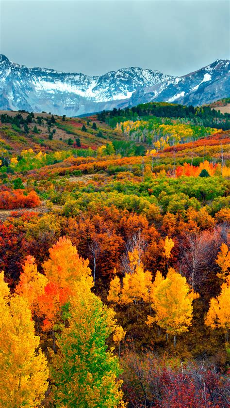 Autumn Wallpaper - Mountain, Fall foliage, Nature #16242