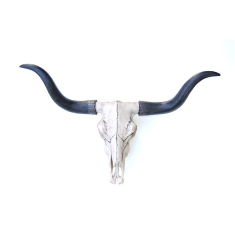 Millwood Pines Texas Longhorn Skull Wall Décor | Wayfair