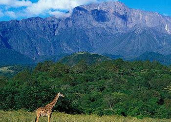 Arusha National Park - Planet Lodges 2023