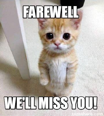 Sad Cat Goodbye Meme