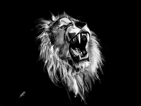 Lion Roaring Black And White Front View