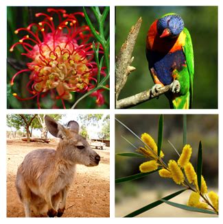 World Animals: Typical Australian Flora and Fauna