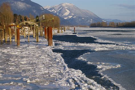 Frozen sections of the Fraser River near Mission