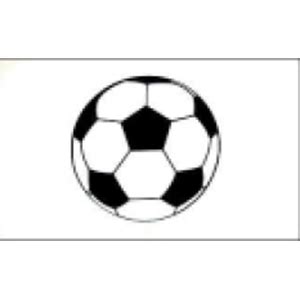 Soccer Ball Flag – Flags2020 – Bob Hughes Display