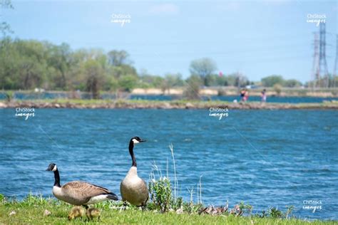 Exploring The Hegewisch Community Area of Chicago - ChiStockImages.com