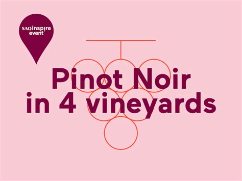 Grape varieties - Pinot Noir virtual tasting | SAQ.COM