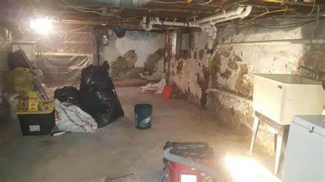 Basement Mold Cleaning in NJ and PA - Moisture Science Environmental