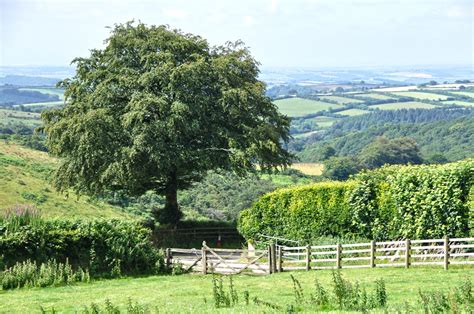 North Devon : Countryside Scenery © Lewis Clarke :: Geograph Britain and Ireland