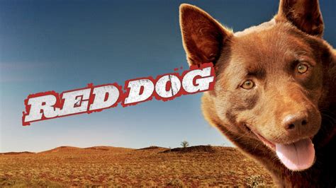 Red Dog | Apple TV