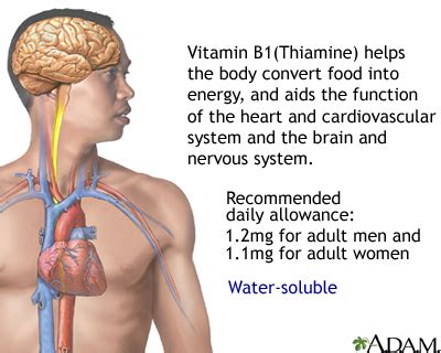 Thiamin Information | Mount Sinai - New York