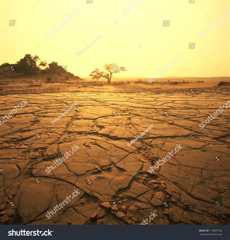 Dry Landscape Stock Photo 115697746 : Shutterstock